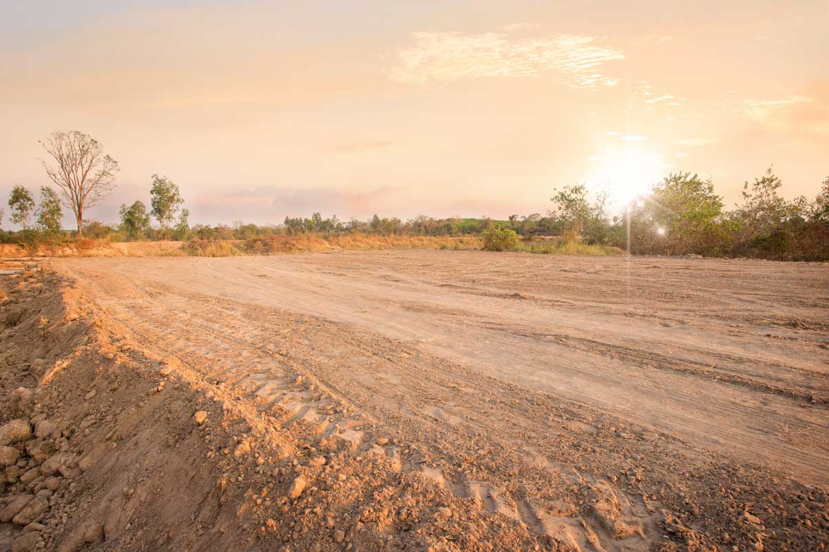 Empty Dry Cracked Swamp Reclamation Soil